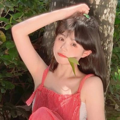 氏族n国际版下载